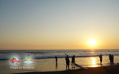 Pacifico Exótico y Diverso