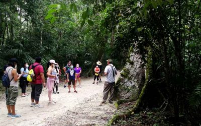 Más que un guía de turistas, un amigo